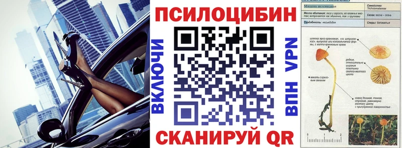 Галлюциногенные грибы прущие грибы  Арск 